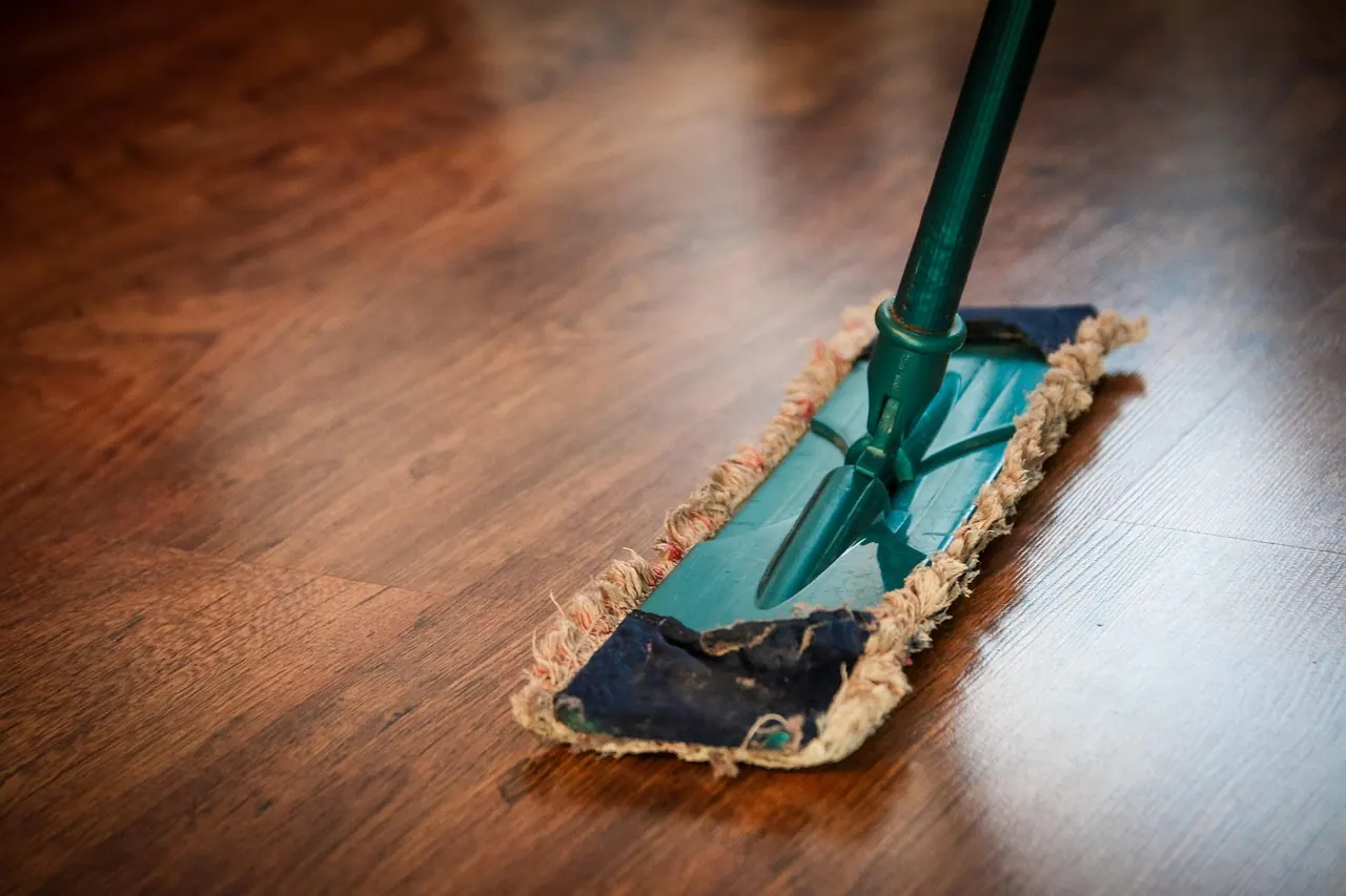 cleaning, washing, mop, cleaning, cleaning, cleaning, cleaning, cleaning, mop