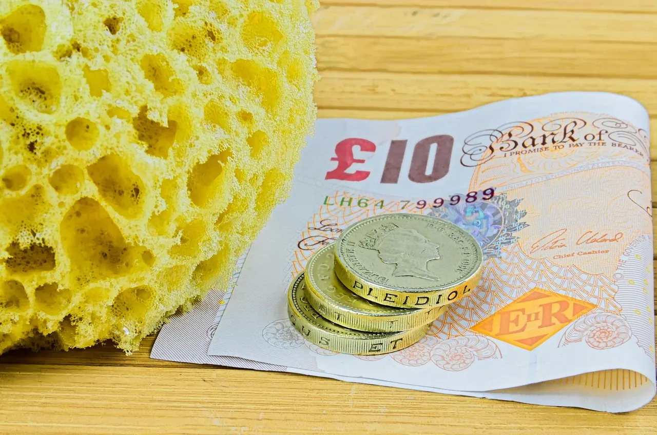 washing sponge, sponges, cleaning, washing, bathroom, coin, money making, bank note, washing cost, sponges, cleaning, cleaning, cleaning, cleaning, cleaning, money making
