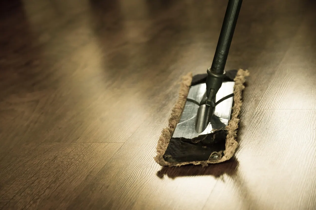 cleaning, washing, mop, cleaning, cleaning, cleaning, mop, mop, mop, mop, mop