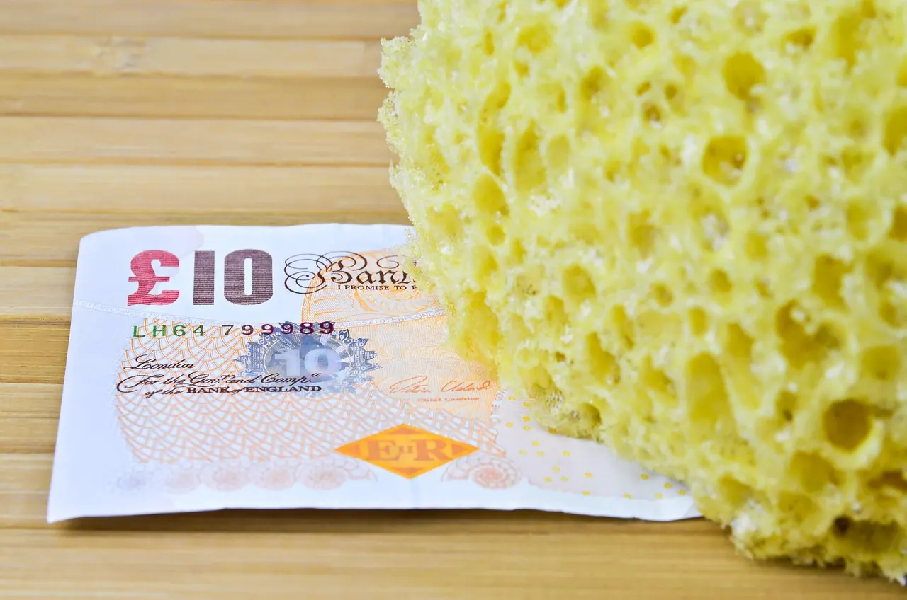 washing sponge, sponges, cleaning, washing, bathroom, coin, money making, bank note, washing cost. Pressure washing pay rates and labor costs