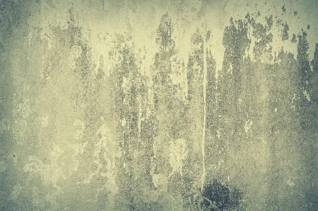 abstract, aged, backdrop, cement, concrete, dirty, concrete wall, exterior, grunge, material, old, pattern, abstract, abstract, abstract, abstract, concrete, concrete, grunge, grunge, grunge, grunge, grunge, pattern. 9 things nobody tells you about pressure washing pricing and profit