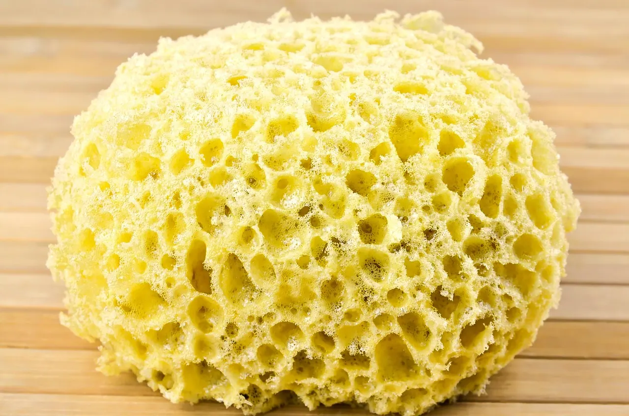 washing sponge, sponges, cleaning, washing, bathroom, sponges, sponges, sponges, sponges, sponges