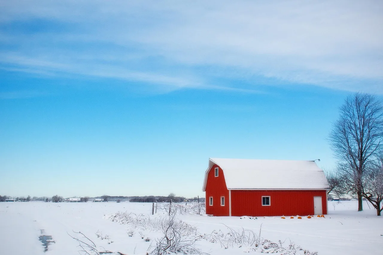 barn, snow, farm, snow covered, snowy, wintry, cold, frost, nature, frosty, hoarfrost, winter barn, rural, red barn, country, countryside. Pressure Washing Winter Shutdown Canada: Manitoba and Quebec
